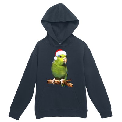 Christmas Bird Parrot Urban Pullover Hoodie