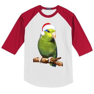 Christmas Bird Parrot Kids Colorblock Raglan Jersey