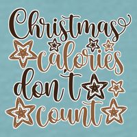 Christmas Calories Don't Count  Sueded Cloud Jersey T-Shirt