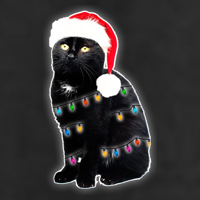 Christmas Cat Lights Adult Drive Performance Visor