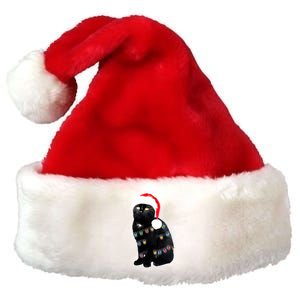 Christmas Cat Lights Premium Christmas Santa Hat