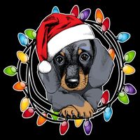 Christmas Dachshund Lights Drawstring Bag