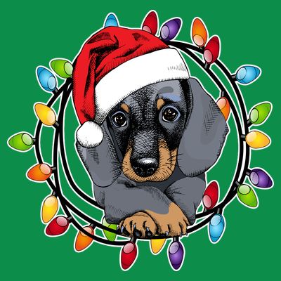 Christmas Dachshund Lights T-Shirt