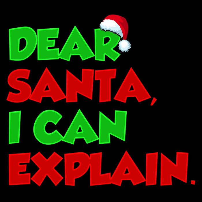 Christmas Dear Santa I Can Explain Mug