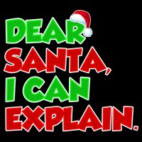 Christmas Dear Santa I Can Explain Bag
