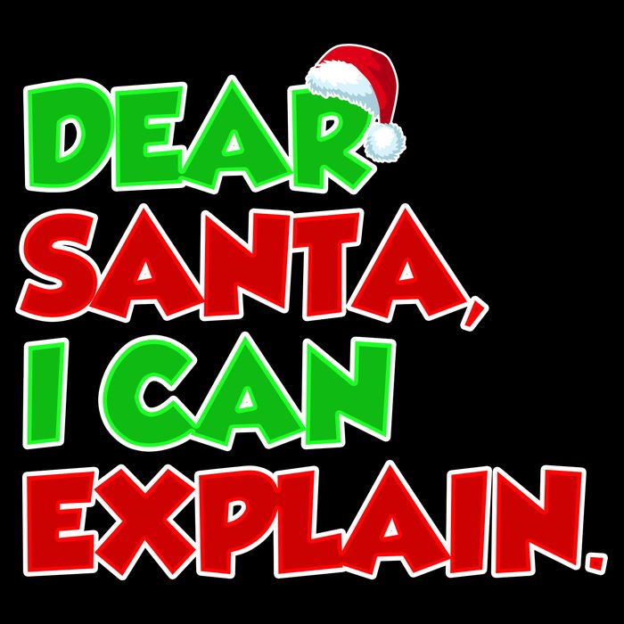 Christmas Dear Santa I Can Explain Bag