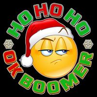 Christmas HO HO HO Ok Boomer Polo