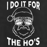 Christmas I Do it for the Ho's X-Mas Hat