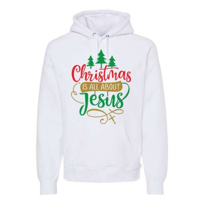 Christmas Is All About Jesus Birthday Christian Premium Hoodie