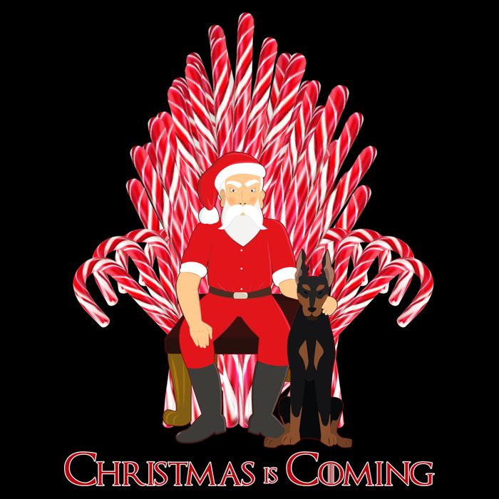 Christmas Is Coming  Bag