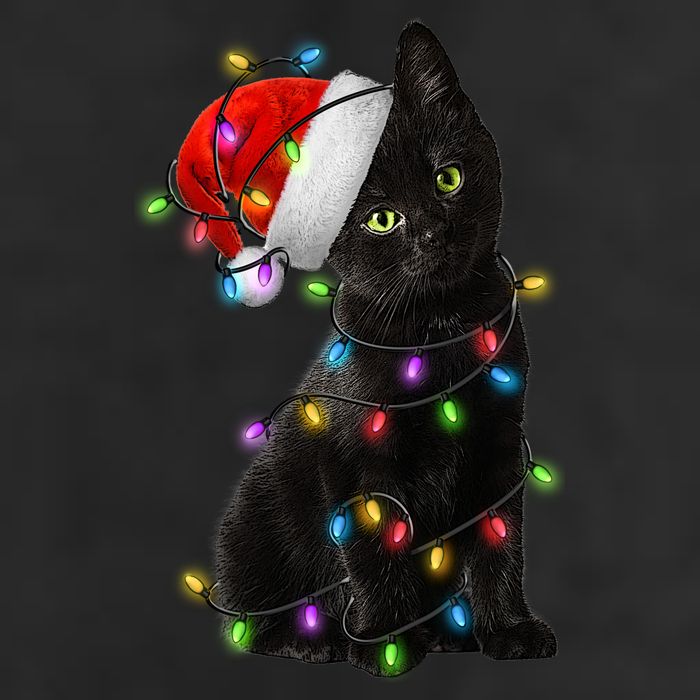 Christmas Lights Santa Kitty 7 Panel Mesh Trucker Snapback Hat