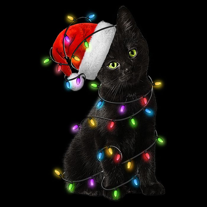 Christmas Lights Santa Kitty Drawstring Bag