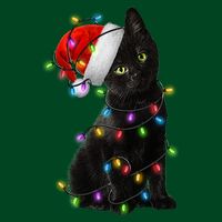 Christmas Lights Santa Kitty Apron