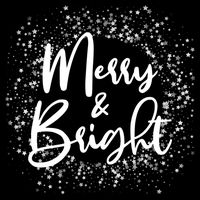 Christmas Merry and Bright Crop Top