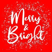 Christmas Merry and Bright Premium T-Shirt