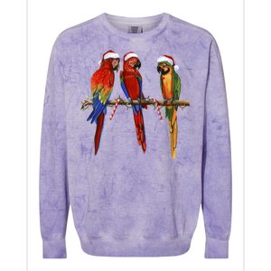 Christmas Parrots Colorblast Crewneck Sweatshirt