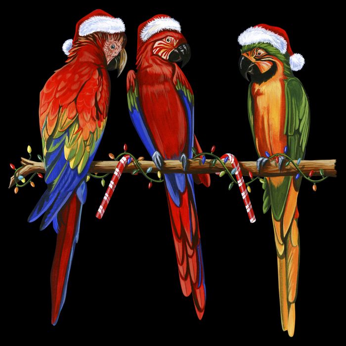 Christmas Parrots Cooling Performance Crew T-Shirt