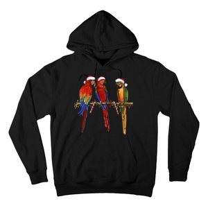 Christmas Parrots Hoodie