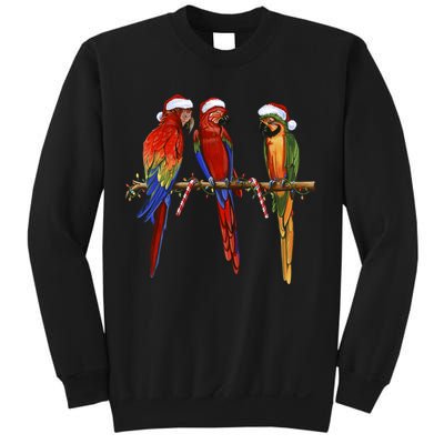 Christmas Parrots Sweatshirt