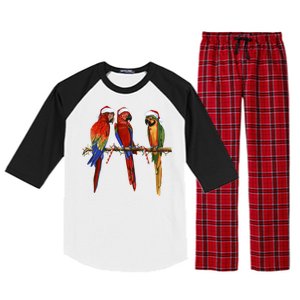 Christmas Parrots Raglan Sleeve Pajama Set