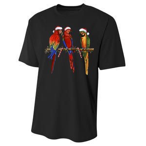 Christmas Parrots Performance Sprint T-Shirt