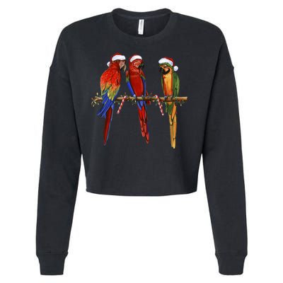 Christmas Parrots Cropped Pullover Crew