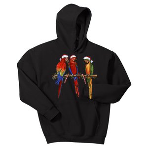 Christmas Parrots Kids Hoodie