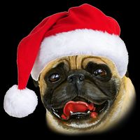 Christmas Pug Santa Hat Cute 16 in Basic Backpack