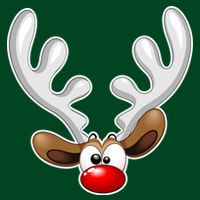 Christmas Red Nose Reindeer Face  Mesh Reversible Basketball Jersey Tank