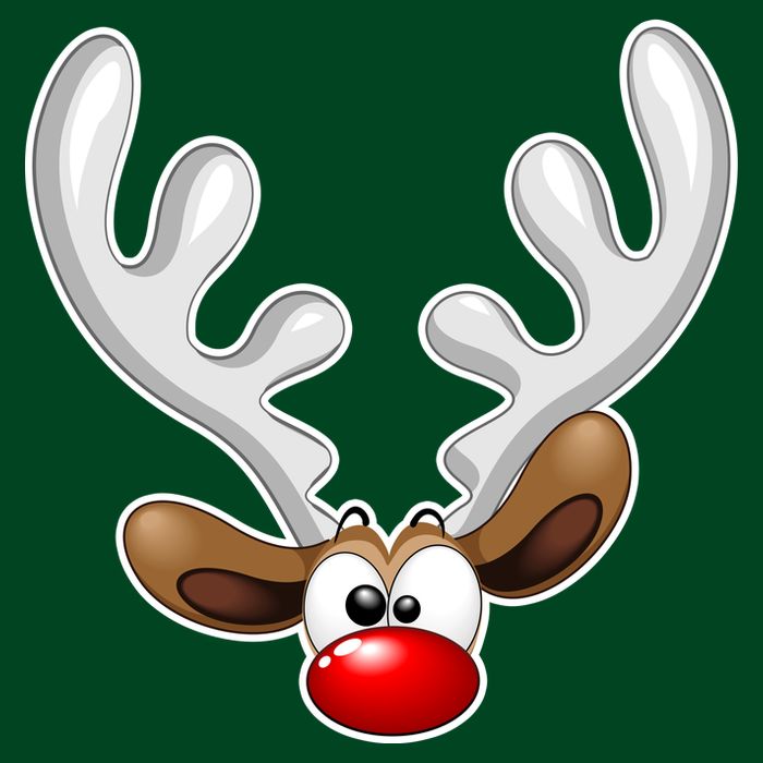 Christmas Red Nose Reindeer Face  Mesh Reversible Basketball Jersey Tank