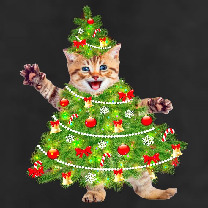 Christmas Tree Kitten Trucker Hat