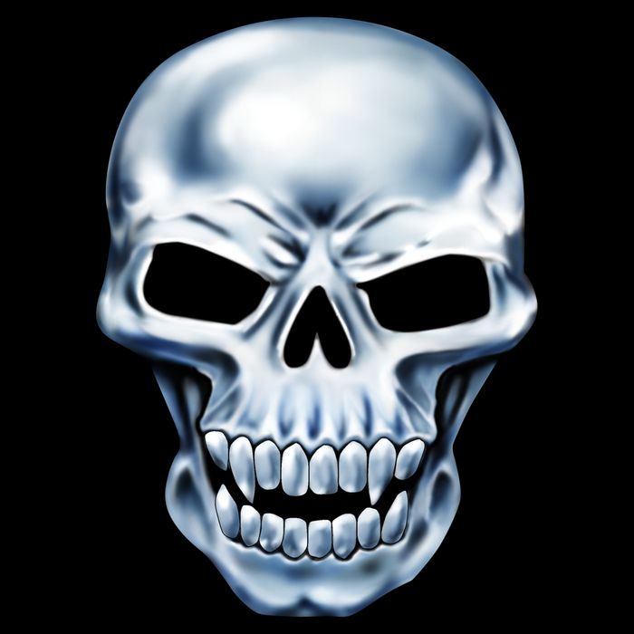 Chrome Skull Apron