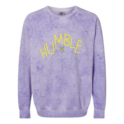 CharlotteS Humble Spider Web Colorblast Crewneck Sweatshirt