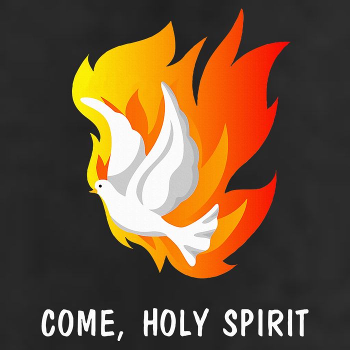 Come Holy Spirit 7 Panel Mesh Trucker Snapback Hat