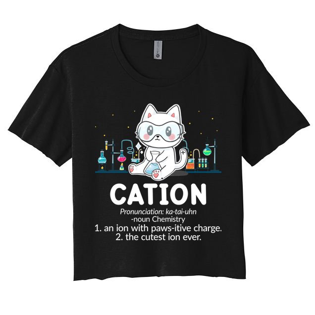 Chemistry Humor Science Teacher Cat Pun Cation Gift Crop Top