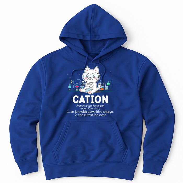 Chemistry Humor Science Teacher Cat Pun Cation Gift Hoodie