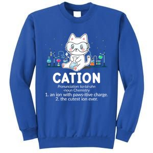 Chemistry Humor Science Teacher Cat Pun Cation Gift Sweatshirt