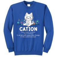 Chemistry Humor Science Teacher Cat Pun Cation Gift Sweatshirt