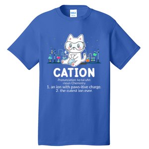 Chemistry Humor Science Teacher Cat Pun Cation Gift Tall T-Shirt