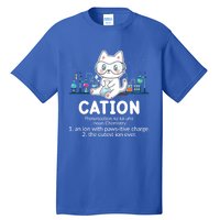 Chemistry Humor Science Teacher Cat Pun Cation Gift Tall T-Shirt