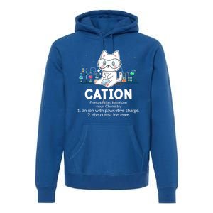 Chemistry Humor Science Teacher Cat Pun Cation Gift Premium Hoodie