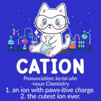 Chemistry Humor Science Teacher Cat Pun Cation Gift 16 in Basic Backpack