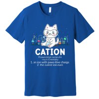 Chemistry Humor Science Teacher Cat Pun Cation Gift Premium T-Shirt