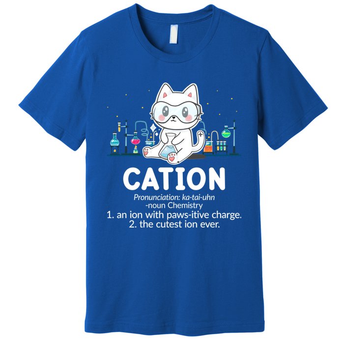 Chemistry Humor Science Teacher Cat Pun Cation Gift Premium T-Shirt