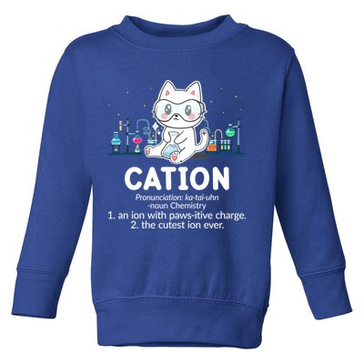 Chemistry Humor Science Teacher Cat Pun Cation Gift Toddler Sweatshirt