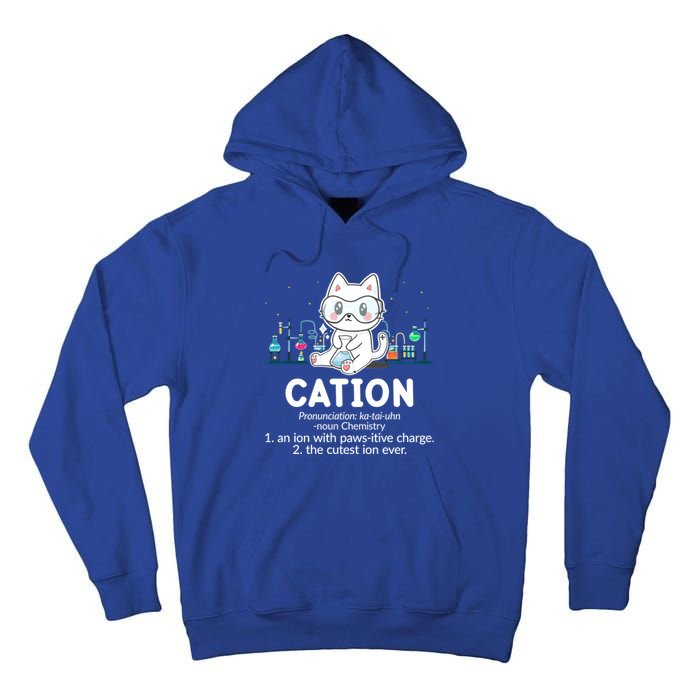 Chemistry Humor Science Teacher Cat Pun Cation Gift Tall Hoodie