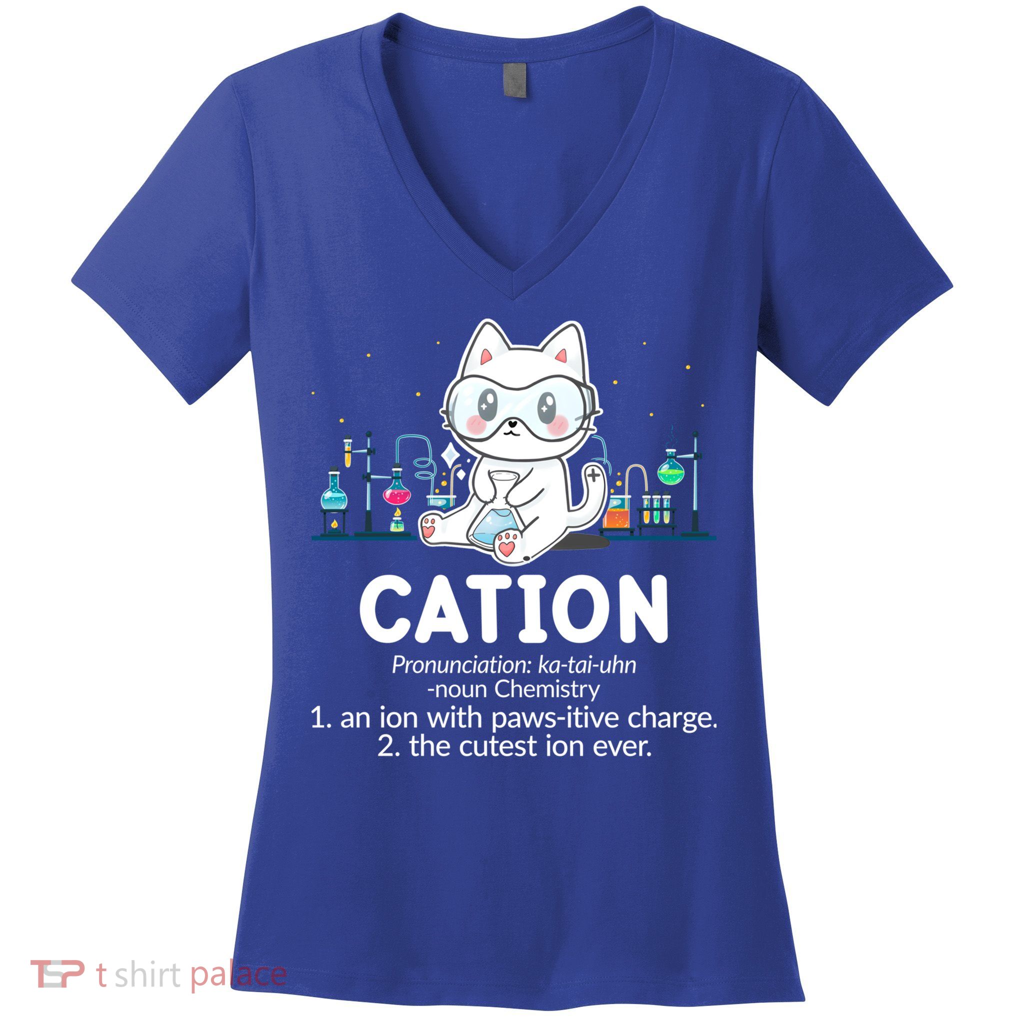 Chemistry Humor Science Teacher Cat Pun Cation Gift Women's V-Neck T-Shirt