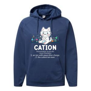 Chemistry Humor Science Teacher Cat Pun Cation Gift Performance Fleece Hoodie