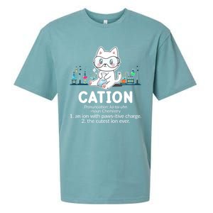 Chemistry Humor Science Teacher Cat Pun Cation Gift Sueded Cloud Jersey T-Shirt