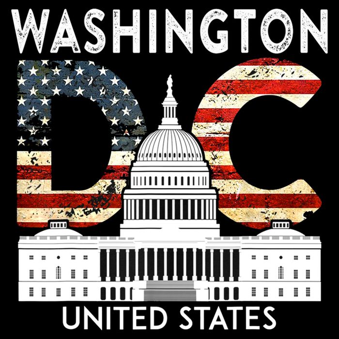 Capitol Hill Souvenir Gift Washington DC Bag